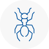 Ant Removals In New Romney