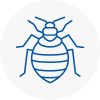 Bed Bug Extermination In New Romney