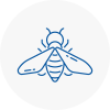 Bee Nest Removal New Romney