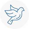 Bird Prevention New Romney