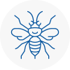 New Romney Hornet Nest Removals