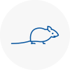 Mice Exterminators In New Romney