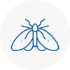 Moth Control Specialists In New Romney
