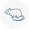 Rat Control New Romney