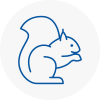 New Romney Rodent Removals